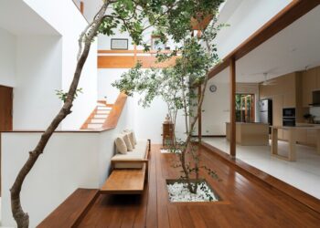 Neuroarchitecture: Brain Meets Modern Design